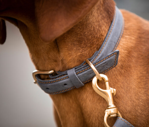 Halsband Custom made collection